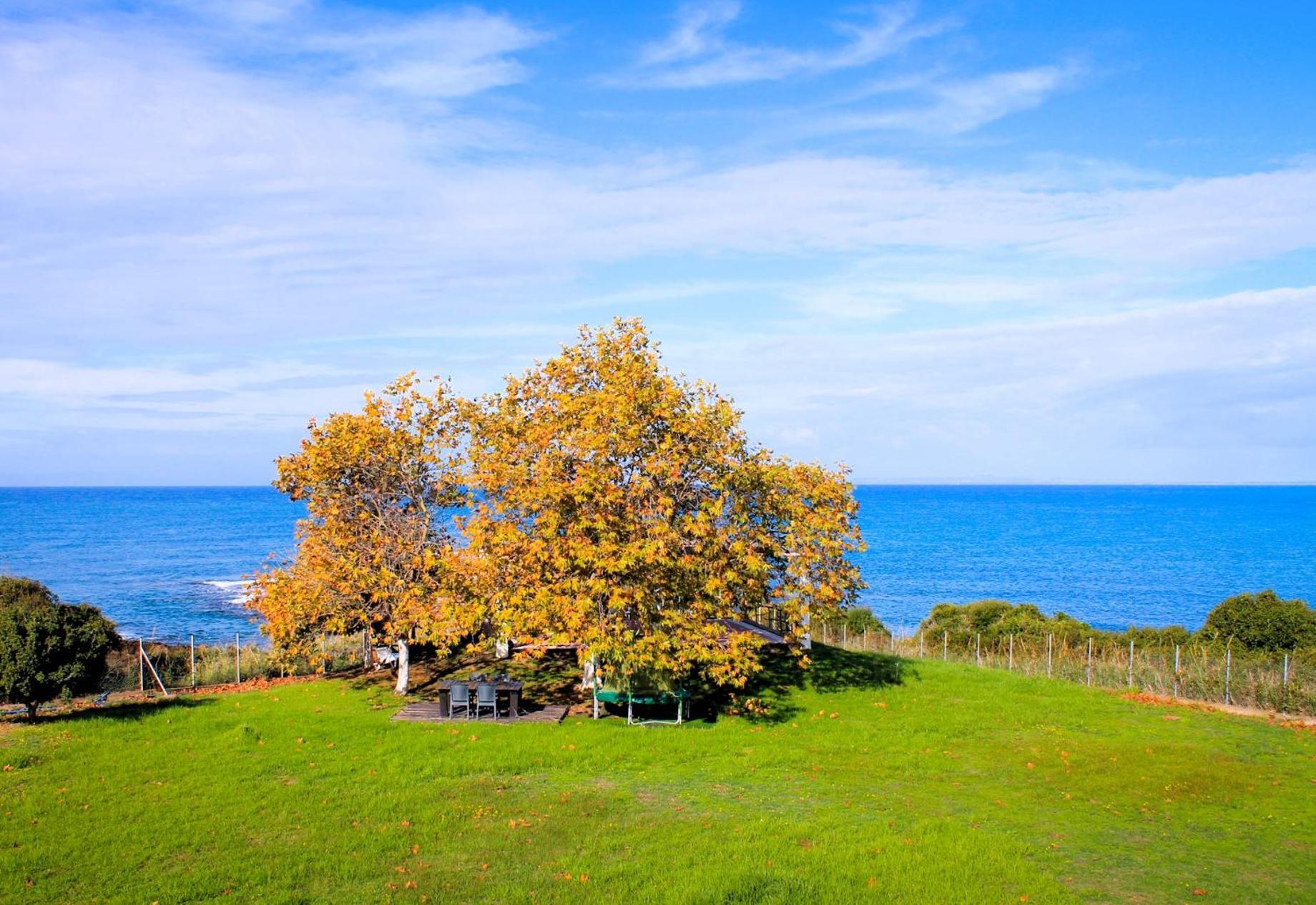 Sea Breeze Ena Apartment Korakochori Exterior photo